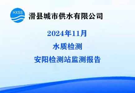 2024年11月水质监测安阳监测站检测报告